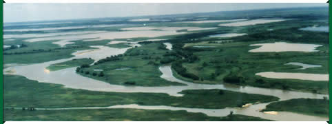 Isla Curuzu Chali en La Paz, Entre Rios