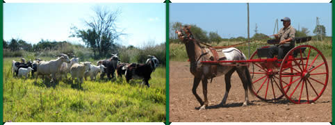 Turismo Rural en La Paz, Entre Rios